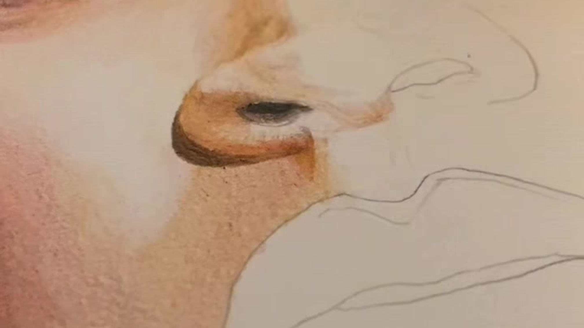 Rihanna Pencil Crayon Portrait